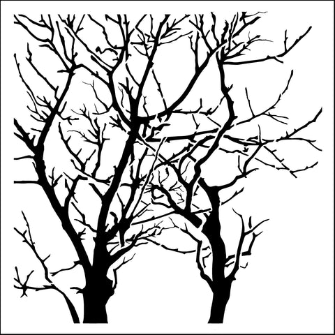TCW251 Branches Reversed